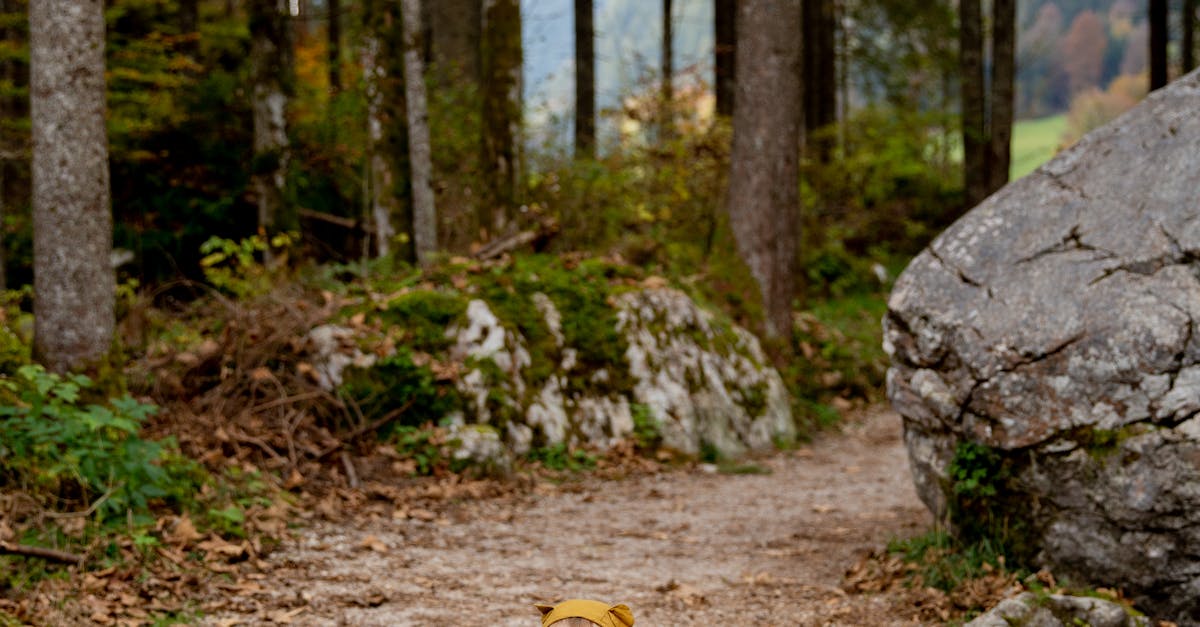 Zooming into Fun: The Best Toddler Toys Cars for Little Drivers